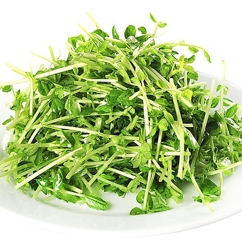青菜炒め